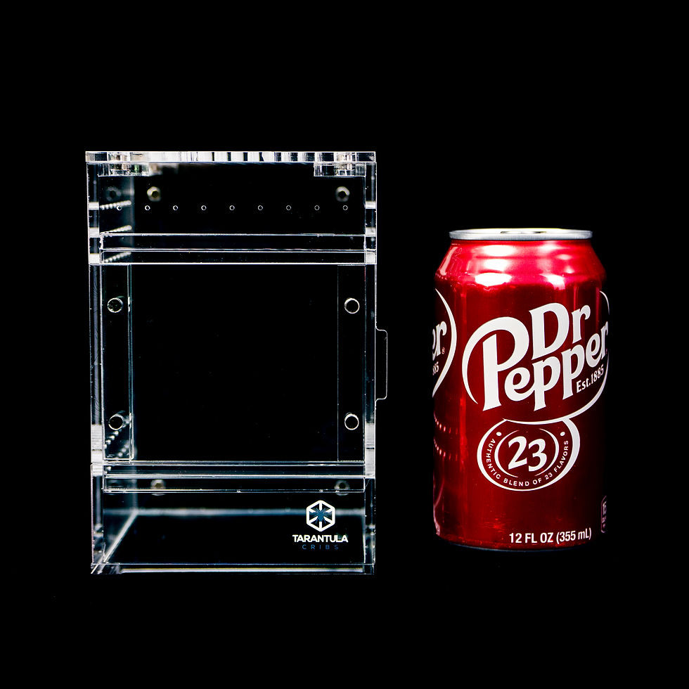 Thumbnail: Treehouse Switch 2.0- Small