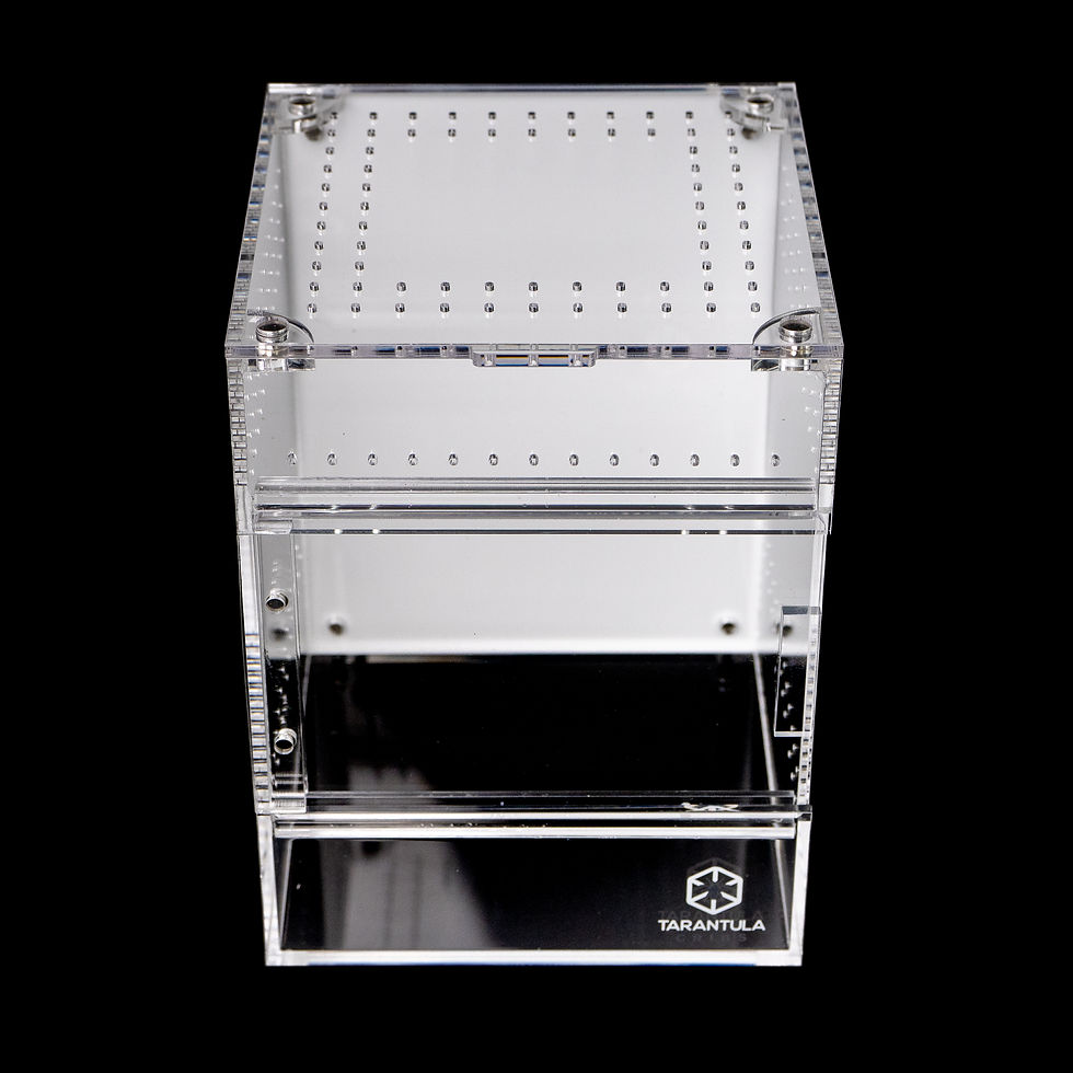 Thumbnail: Treehouse Switch 2.0 -Large