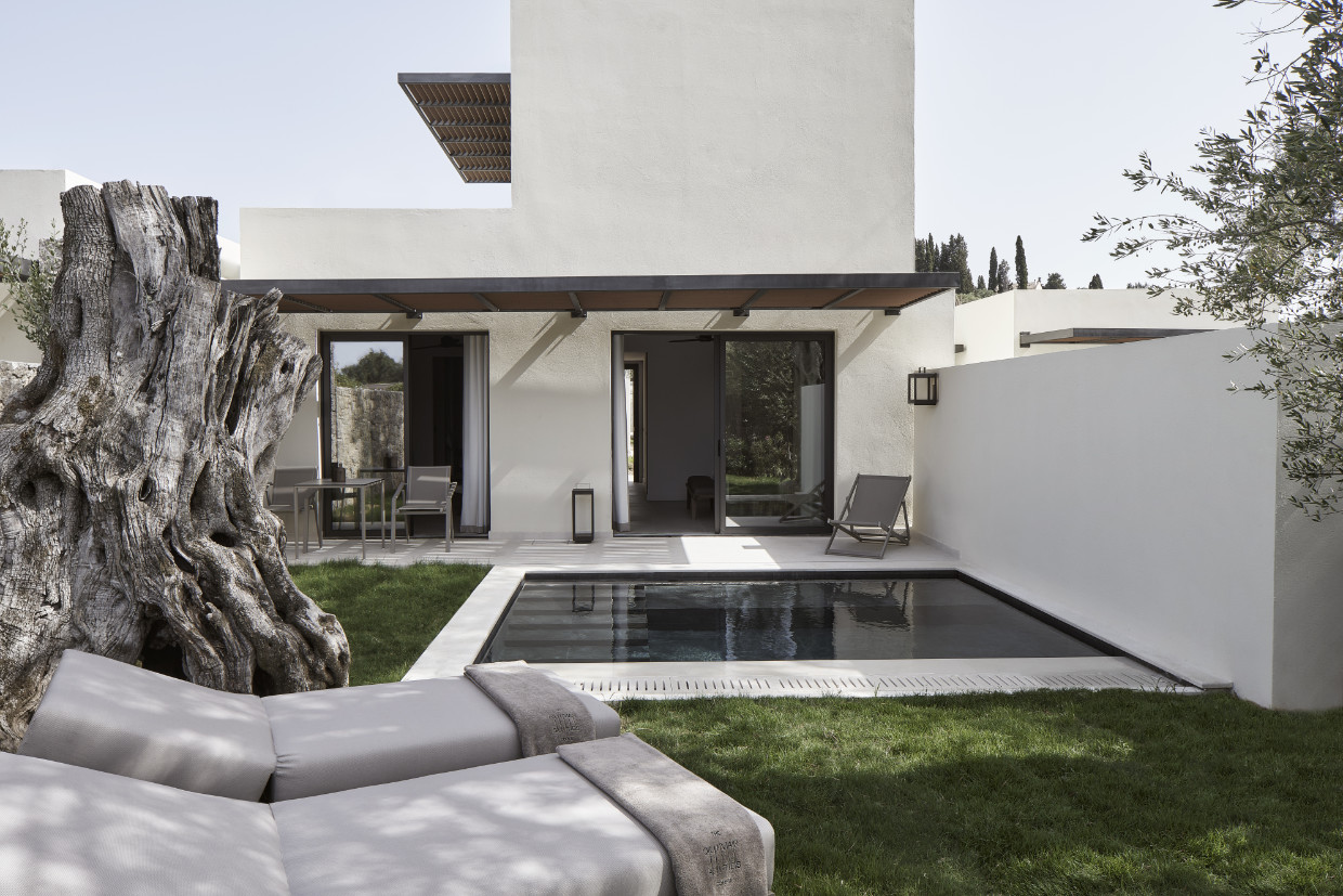 Private pool and olive tree at The Olivar Suites