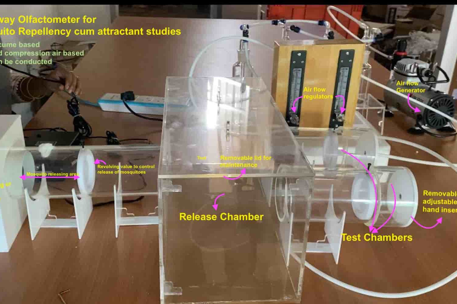 Y tube olfactometer buy online in Amazon in United state agriculture departments