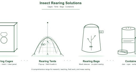 The Ultimate Guide to Buy Insect Rearing Cages