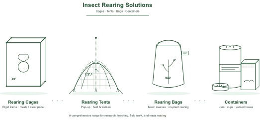 The Ultimate Guide to Buy Insect Rearing Cages