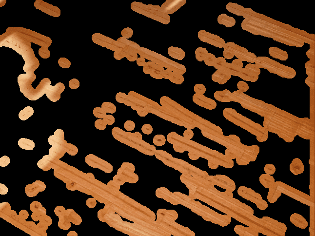 bg_removed_alternative.gif