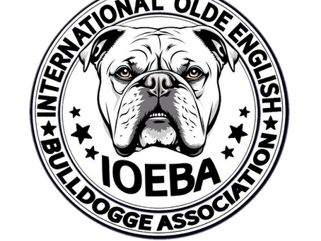 Understanding the Olde English Bulldogge Breed Standard IOEBA