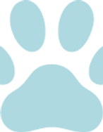 Oso