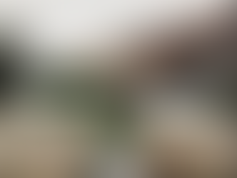 The Other Side of Insanity | Maple Grove Hot Springs