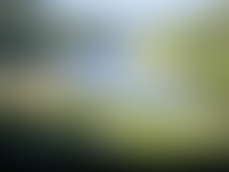 Seeking Perspective | Maple Grove Hot Springs