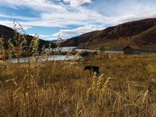 Indigenous Peoples Day 2020 | Maple Grove Hot Springs