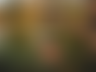 Sound Bath and Dancing | Maple Grove Hot Springs