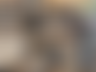 Reflections on 2022 | Maple Grove Hot Springs