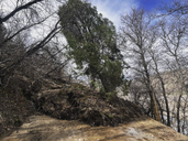 Lesson in a Landslide | Maple Grove Hot Springs