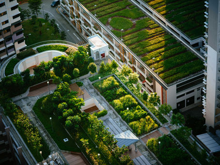 Aerial view of an urban rooftop garden showcasing a lush green landscape with well-maintained pathways and diverse vegetation, nestled amidst modern residential buildings.