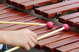 xylophone2.jpeg