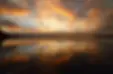 homepagebanner.webp