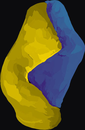 Untitled-5.jpg