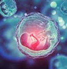 SERUM COVID VIDEO 11.JPG