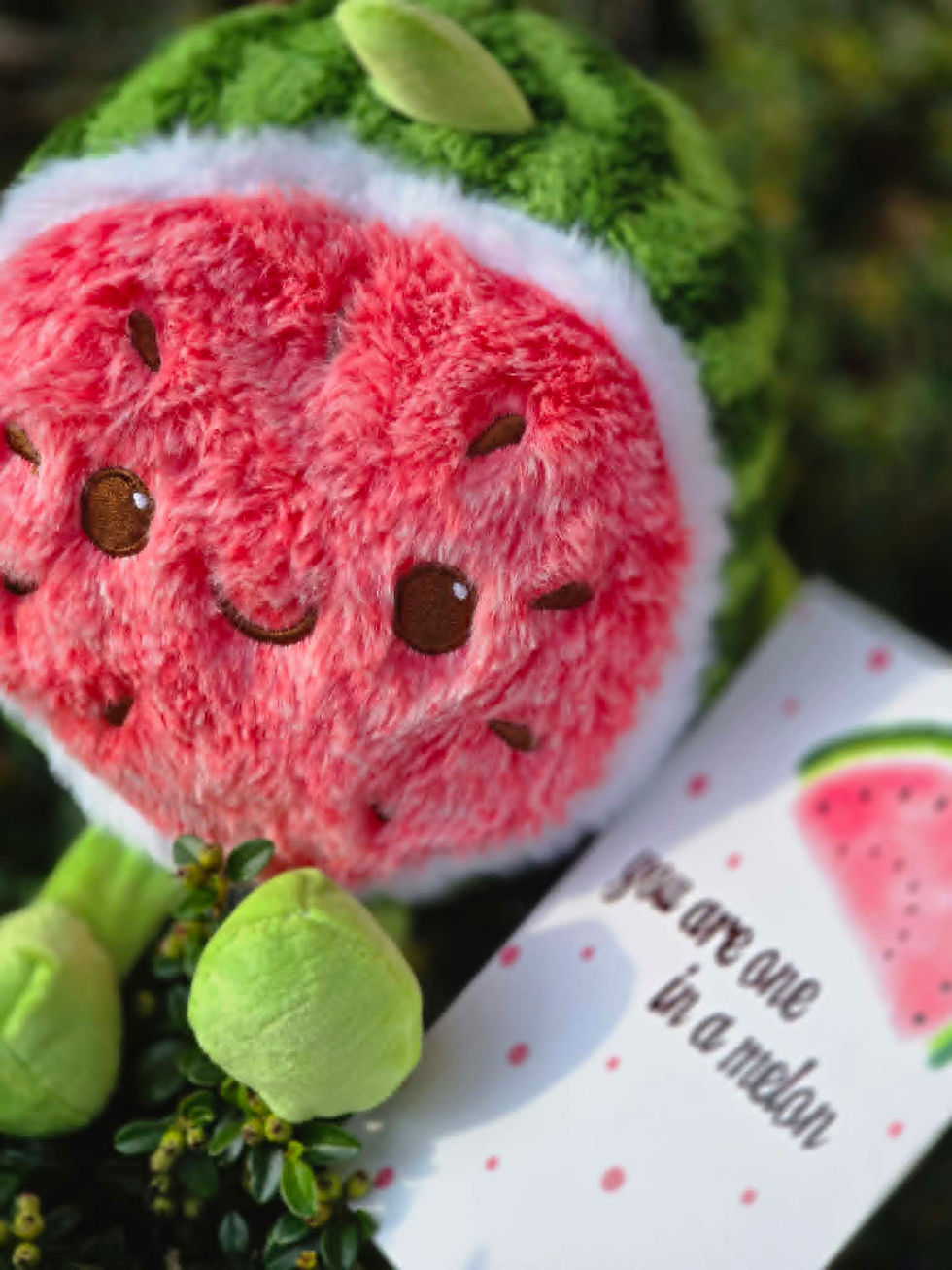 Thumbnail: Knuffel watermeloen plus kaartje You're one in a melon (meloen)