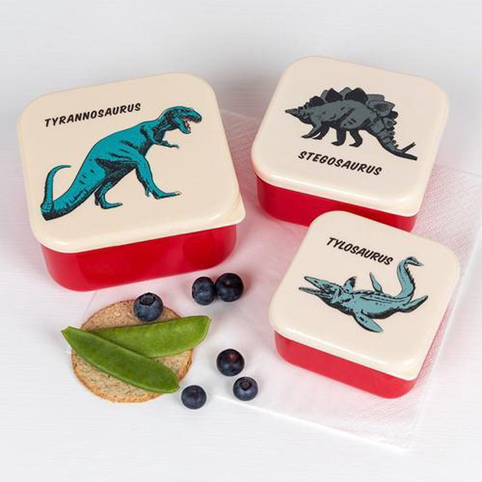 Thumbnail: Snack fruit koek doosjes : appel, voertuigen, dino en dieren