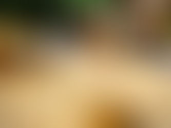 Il y a comme un air de vacances pour l'ASAPE 14-18...