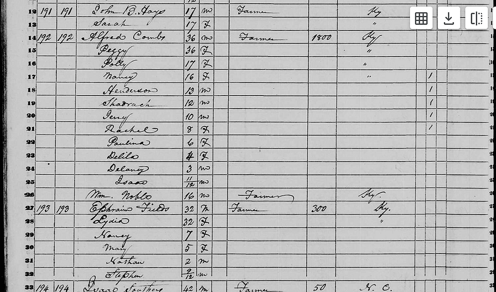 1850 US Census Breathitt County, Kentucky - up-close view of Fields & Combs families.