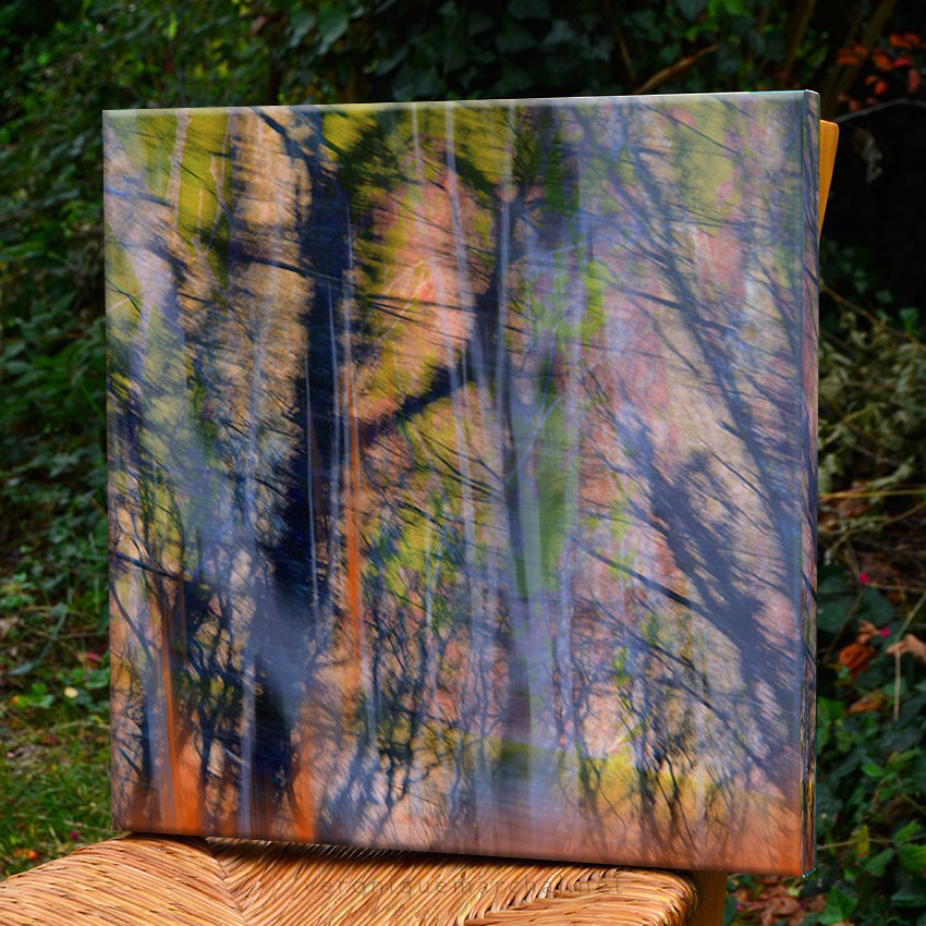 Miniature : Paysages croisés