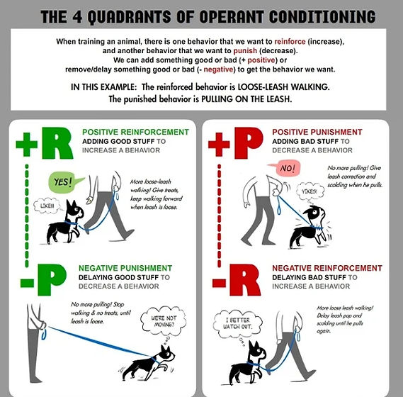 operant-conditioning_edited.jpg