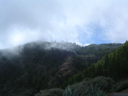 02Canaria086.JPG