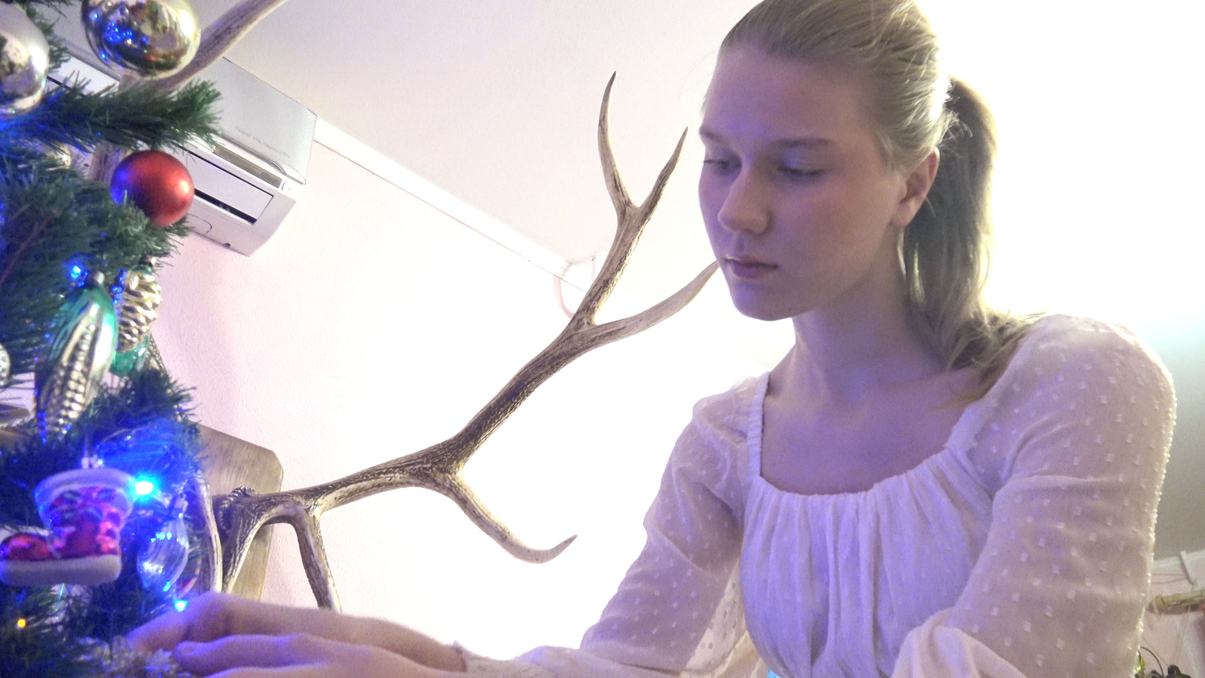 Beautiful Christmas tree