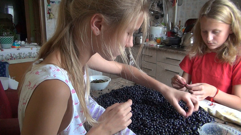 Thumbnail: Blueberries from Village