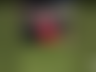 power of coaching in fitness