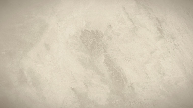 White Background_edited_edited.jpg