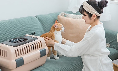 ペットホテル