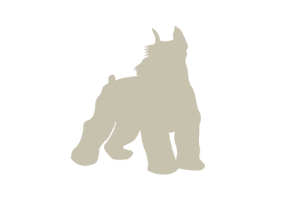 シュナ ウザー