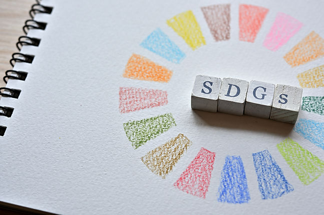 SDGs