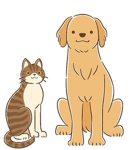 犬と猫
