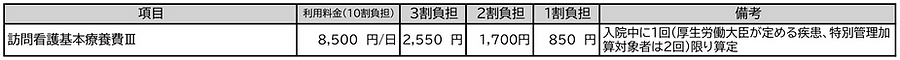 精神医療_外泊者への訪問