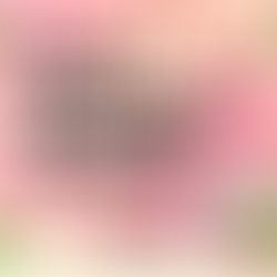 QSR Meaning: What is a Quick Service Restaurant