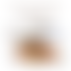 Demystifying the Restaurant Profit and Loss Statement