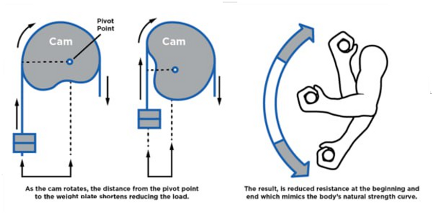cam.d42792f563175dd7f73f.png