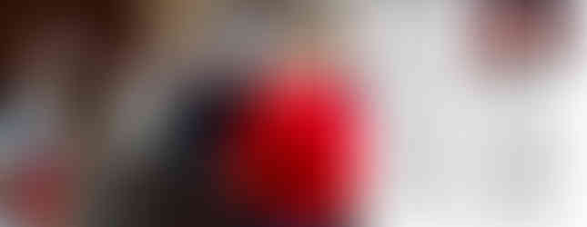 Article du journal L'Est Républicain (2/2)