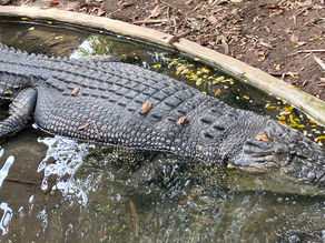 Na Lombok a dál - den 43. pláž Tarimbang
