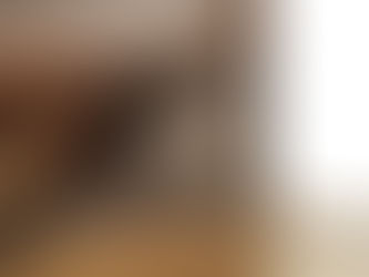 Rodent Control: Why Mice Keep Coming Back (And How to Stop It for Good)