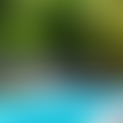 A clear blue swimming pool and pristine backyard in Wichita, Kansas, representing a home fully prepared for the summer pest season.