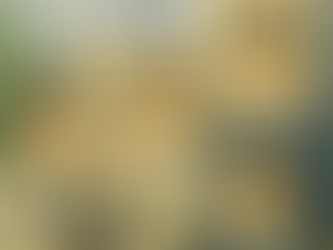 【令和7年改正の基礎控除引上げ等と確定申告】