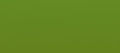 olive background_edited1.jpeg