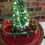 Thumbnail: Single Deluxe Christmas Set with 27 LED Lights
