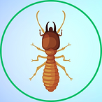Termite.png