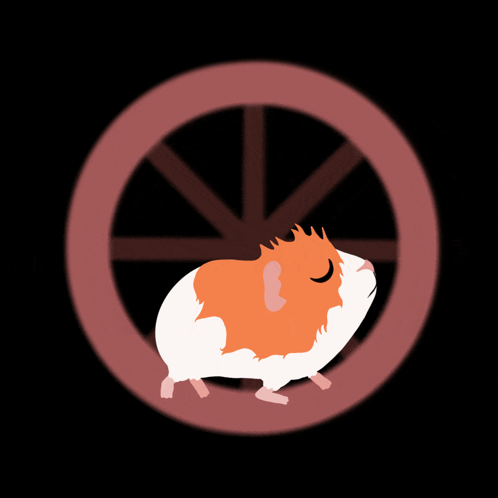 Hamser Spin.gif