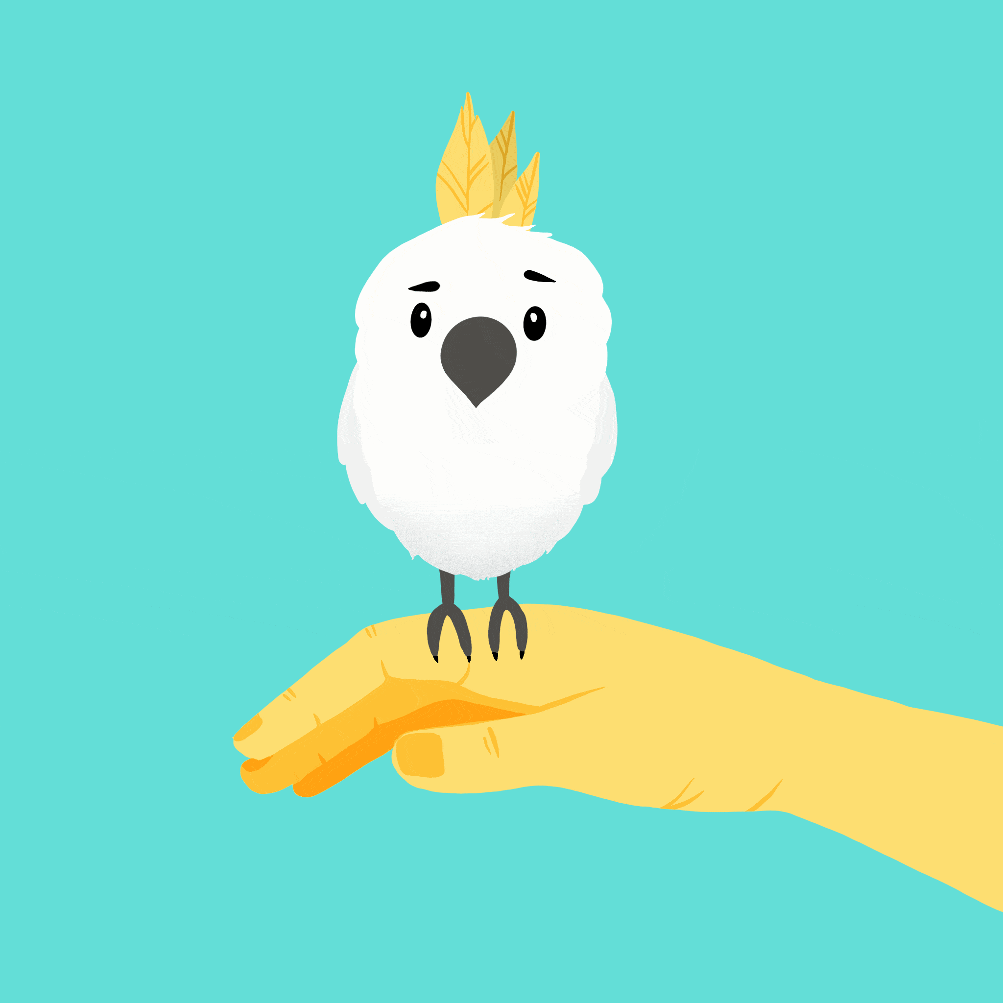 Birdie_Low.gif