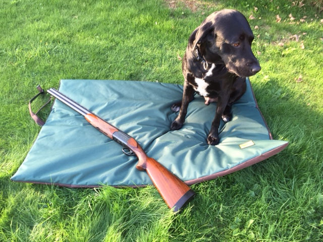 Thumbnail: Roll Up Dog Travel Mats Waterproof Various Sizes - Colours